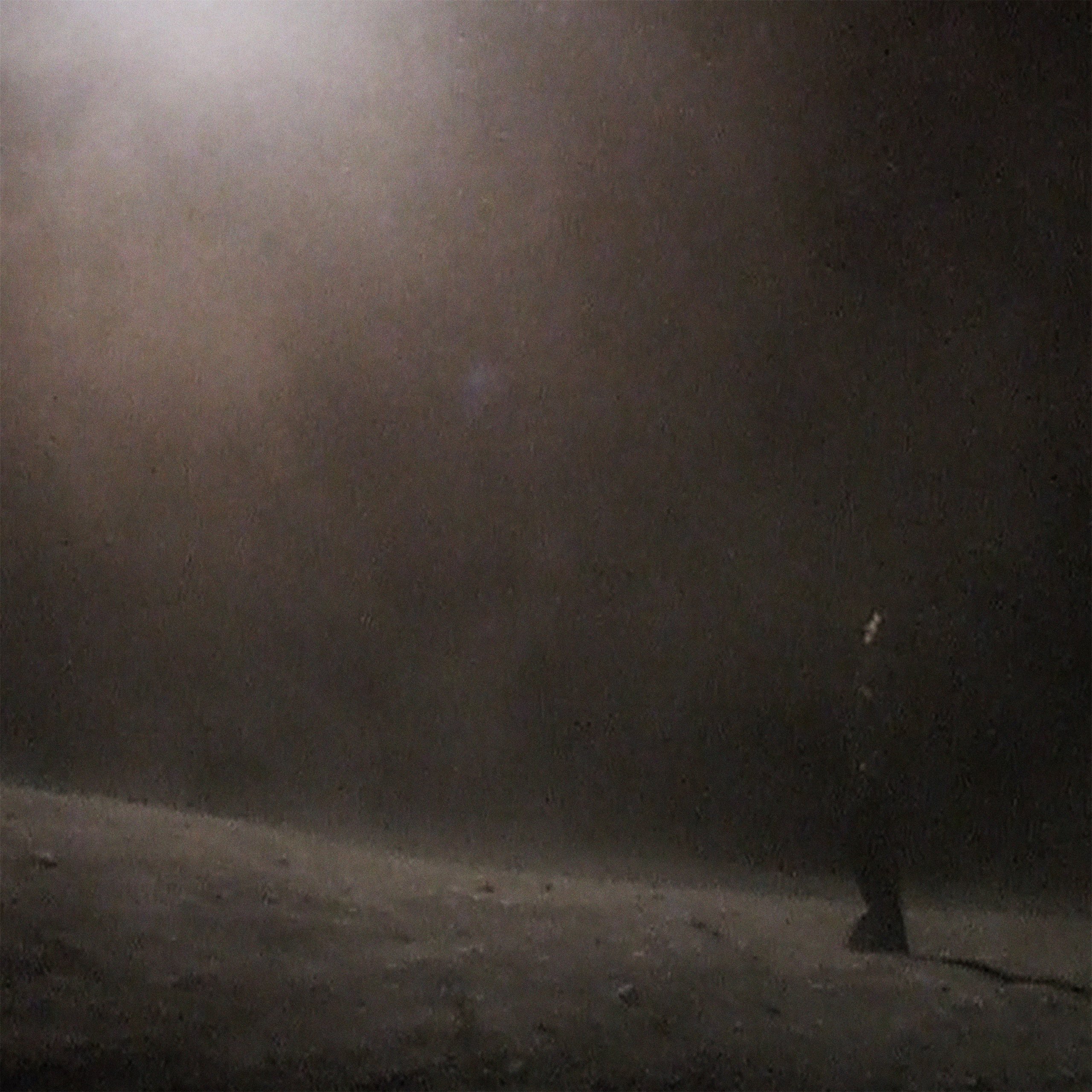Art Direction and Title Design for Dione Video Feel