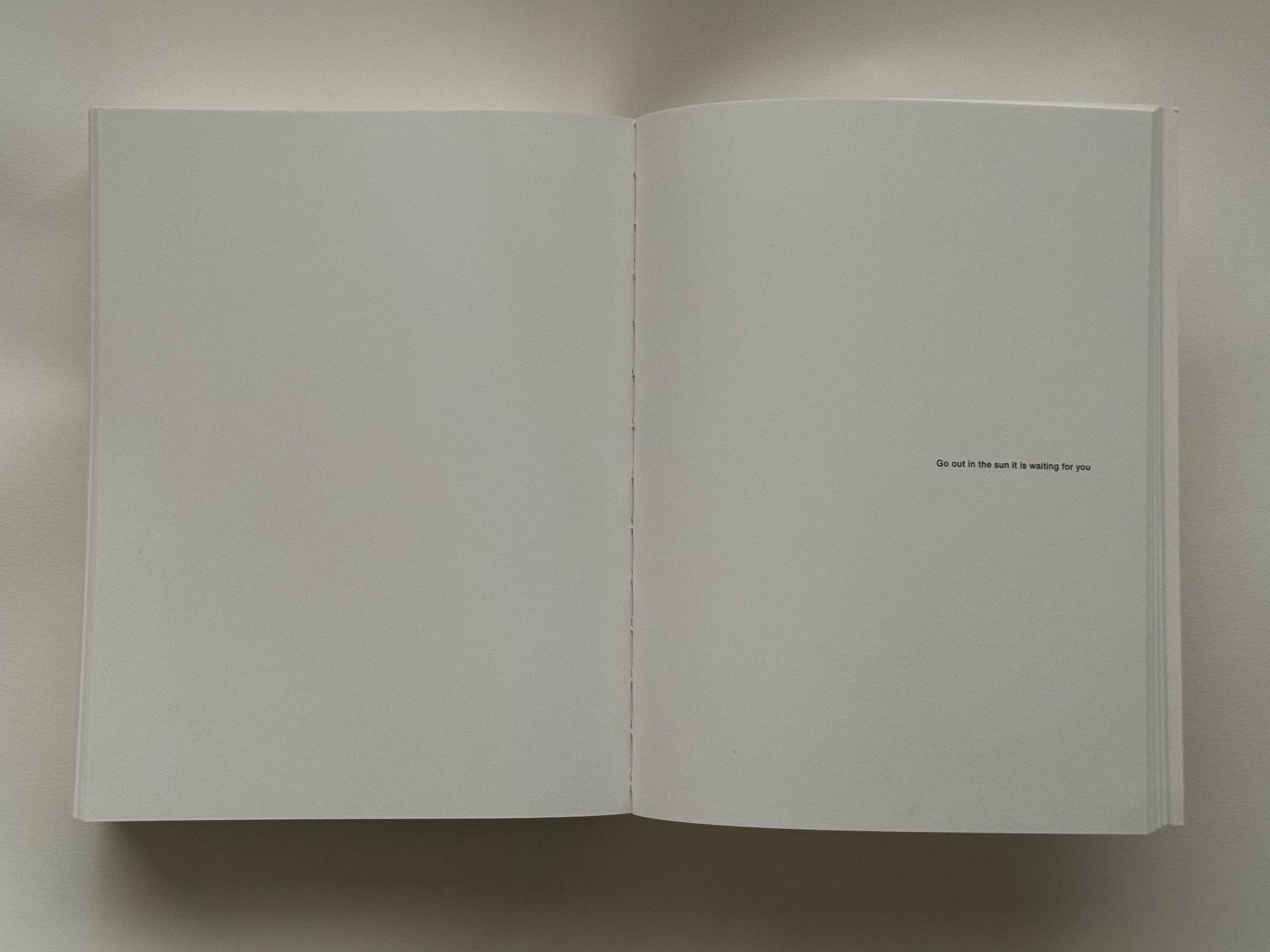 EMPTY BOOK OF POEMS 