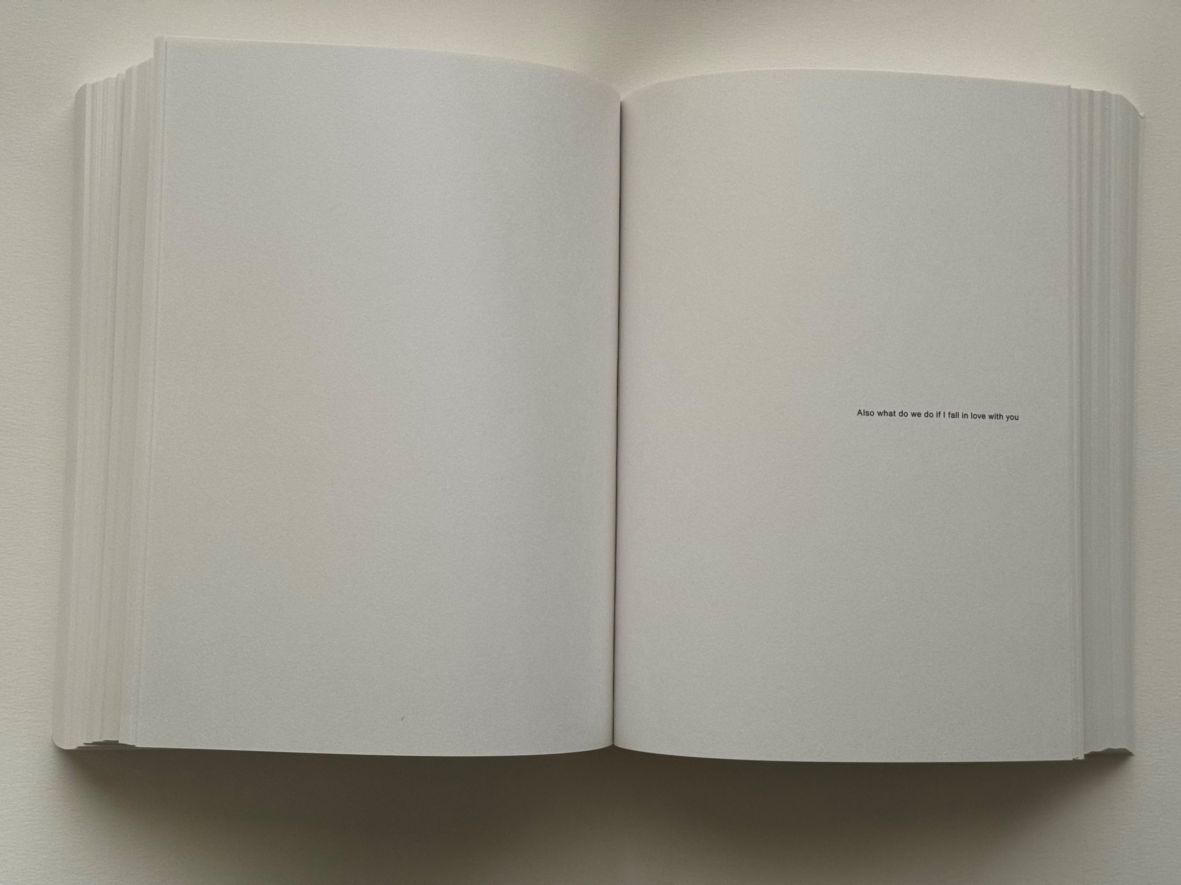 EMPTY BOOK OF POEMS 